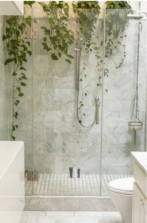 invest in houseplants that are bathroom friendly